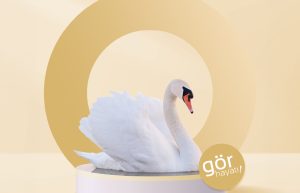 Ultral 1.67 AS Gözlük Camları